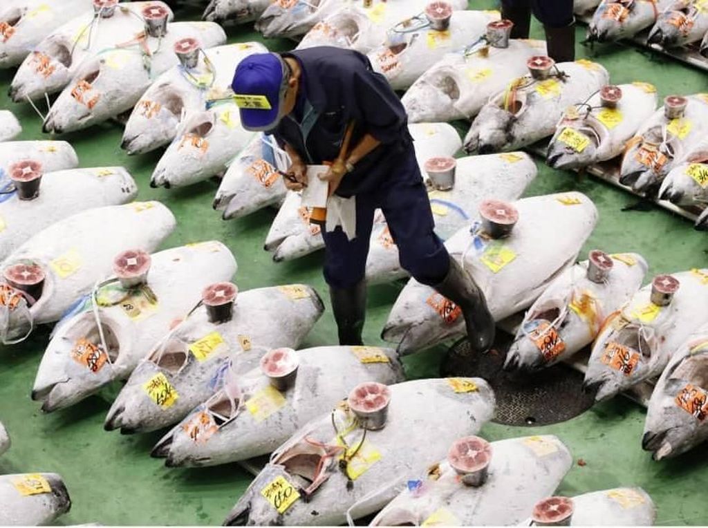 Begini Suasana Lelang Ikan Tuna Pertama di Pasar Tsukiji yang Baru