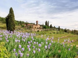 Negara Ini Hasilkan Biang Parfum Terlangka Seharga Hampir Rp 1 M