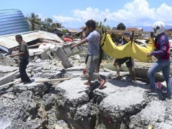 Mengkaji Potensi Donor Organ dari Korban Bencana Alam di Indonesia