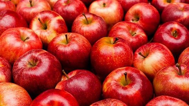 Alternatif pemanis alami makanan bayi