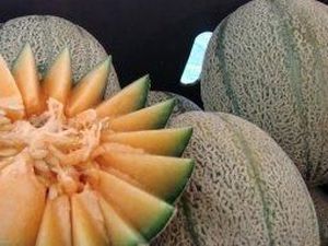 Wabah Listeria dari Buah Melon Australia Dipicu Cuaca