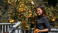 Jago Masak, Ini Aksi Jennifer Garner Saat Berkreasi di Dapur