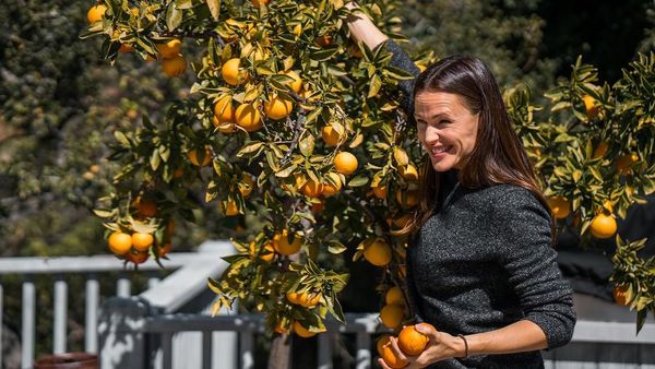 Jago Masak, Ini Aksi Jennifer Garner Saat Berkreasi di Dapur