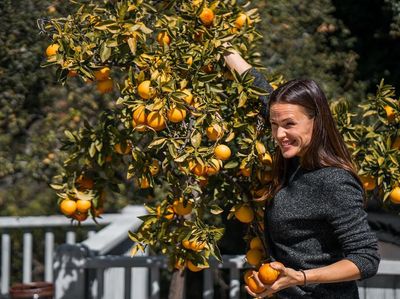 Jago Masak, Ini Aksi Jennifer Garner Saat Berkreasi di Dapur