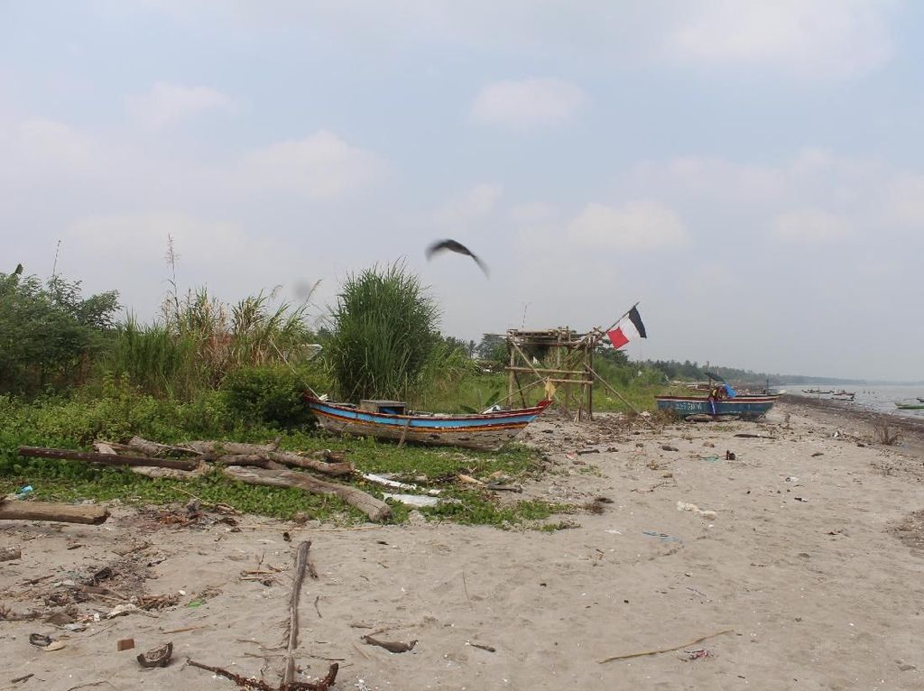 Akibat BAB Sembarangan, Cacingan Merajalela di Pandeglang Akibat BAB Sembarangan, Cacingan Merajalela di Pandeglang