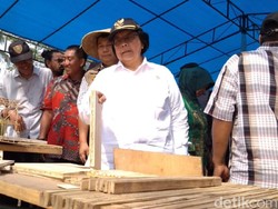 Menteri Siti Bagikan 15 Ribu Bibit Bambu ke Warga Banjar