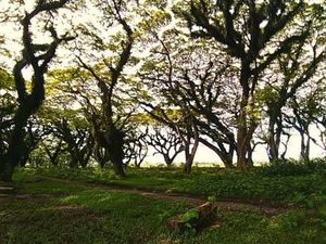 5 Destinasi Indonesia yang Mirip di Serial TV Game of Thrones