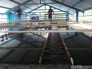 PDAM: Kemarau Panjang, Ada Sumber Air di Trenggalek yang Kering Total