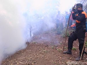 Kebakaran di Lereng Merbabu Padam, 15 Hektar Lahan Hutan Ludes Kebakaran di Lereng Merbabu Padam, 15 Hektar Lahan Hutan Ludes