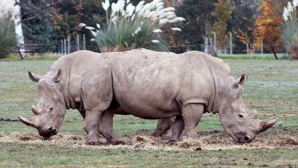 Kumpulan Foto Ini Bikin Mata Terpana