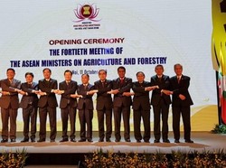 Mentan: Menteri Pertanian se-ASEAN Sampaikan Duka Cita untuk Palu