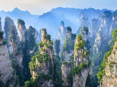 Wisata Gunung Avatar Di China