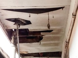 Kenapa Ular Ada di Plafon Rumah? Ini Cara Pencegahan dan Cara Mengusirnya