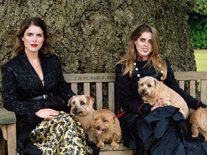 Raja Charles III Usir Pangeran Andrew, Gimana Nasib Putri Beatrice-Eugenie?