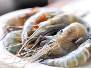 Lembaga Amal Bos Walmart Mulai Permak Tambak Udang di Banyuwangi Lembaga Amal Bos Walmart Mulai Permak Tambak Udang di Banyuwangi