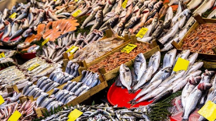 Ilustrasi konsumsi ikan secara rutin sanggup mencegah kanker usus. Foto: iStock