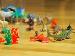 Seru! Permainan Menyelamatkan Hewan untuk Anak