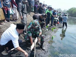 Sambut Hari Santri, Ribuan Santri Situbondo Tanam 10 Ribu Mangrove
