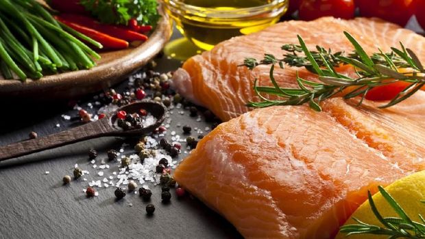 Ilustrasi salmon
