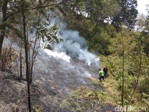 Relawan Juga Hadang Api di Gunung Merbabu dari Ampel Boyolali