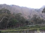 Api di Lereng Gunung Abang Bali Berhasil Dipadamkan
