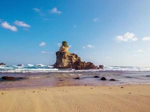 Pantai Berpasir Putih dengan Karang Menjulang di Lautan, Ada di Pacitan