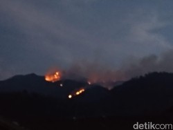 Hutan Gunung Merbabu Sisi Barat Terbakar, Api Belum Padam