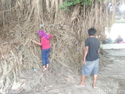 Melihat Ritual Nazar yang Unik di Lombok