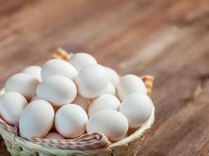 Harga Sembako Jatim 8 September 2022, Telur Ayam Kampung Turun Harga Sembako Jatim 8 September 2022, Telur Ayam Kampung Turun