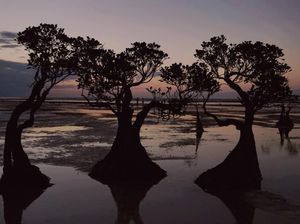 Bali dan Sumba Bikin Bangga, Masuk Daftar Pulau Terbaik Asia Pasifik 2024