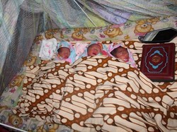 Bayi Kembar 3 Lahir di Pengungsian Gempa Donggala