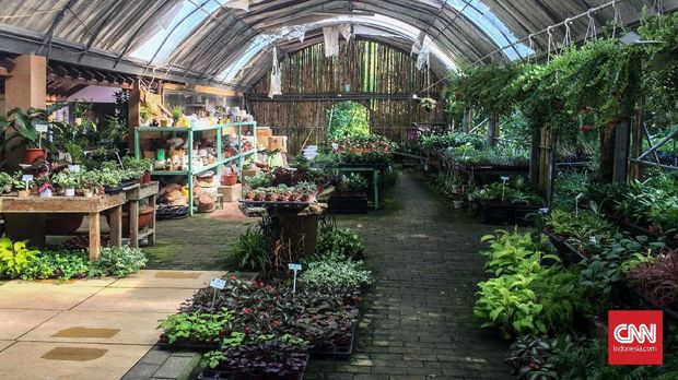 Flower Home Leisure Farm dipenuhi oleh taman dan pepohonan yang rimbun. Selain memiliki penginapan dan restoran, Flower Home juga menjual tanaman hias. Tidak ketinggalan, Flower Home juga menjual produk-produk herbal seperti sampo, sabun, kosmetik dan lain-lain.