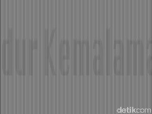 Susah Tidur? Bantu Temukan Pesan Tersembunyi dalam Deretan Gambar Ini