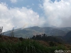 Diperlukan Helikopter untuk Padamkan Kebakaran di Gunung Merbabu
