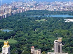 Punya Destinasi Baru, New York City Kejar Pasar Turis Asia Tenggara