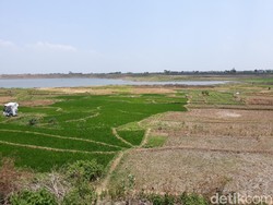 Heboh Kantor Desa Dibakar Gegara Akta Tanah, Berapa Lama Urus AJB?