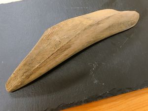 Seperti Balok Kayu Ternyata Bumbu Ini Sangat Penting Dalam Masakan Jepang