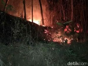 Gunung Bancak Magetan Terbakar, Api Berhasil Dipadamkan 90 Persen