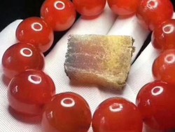 Krim Kulit Kegemaran Warga China Ancam Kehidupan Gajah Myanmar