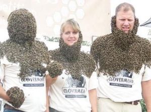 Foto: Lomba Dirubung Lebah, Berani Ikut?