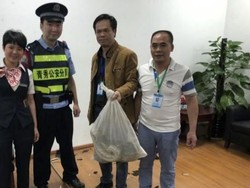 Ular Piton Ini Jatuh dari Plafon Ruangan Bank Saat Rapat Karyawan