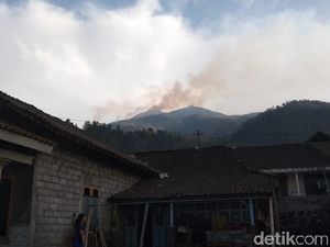 Luas Lahan di Gunung Merbabu yang Terbakar Capai 100 Ha Luas Lahan di Gunung Merbabu yang Terbakar Capai 100 Ha