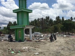 Waduh! 578 Napi Masih Berkeliaran di Palu