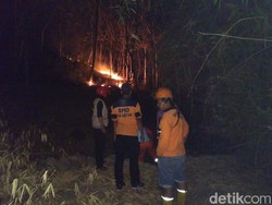 Gunung Bancak Magetan Terbakar