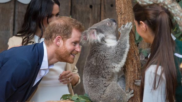 Meghan Markle dan Pangeran Harry kunjungi kebun binatang di Australia.