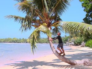 Tersembunyi, Inilah Pantai Bunga Jabe di Karimunjawa