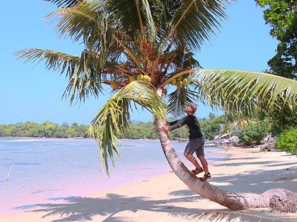 Tersembunyi, Inilah Pantai Bunga Jabe di Karimunjawa Tersembunyi, Inilah Pantai Bunga Jabe di Karimunjawa