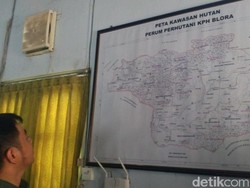 Sepanjang Kemarau Tahun Ini, 38 Ha Hutan di Blora Terbakar