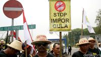 Ratusan Petani Tebu Tuntut Jokowi Hentikan Impor Gula