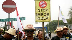 Ratusan Petani Tebu Tuntut Jokowi Hentikan Impor Gula